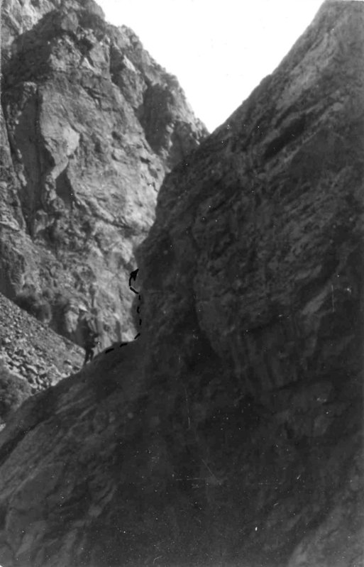 53.    