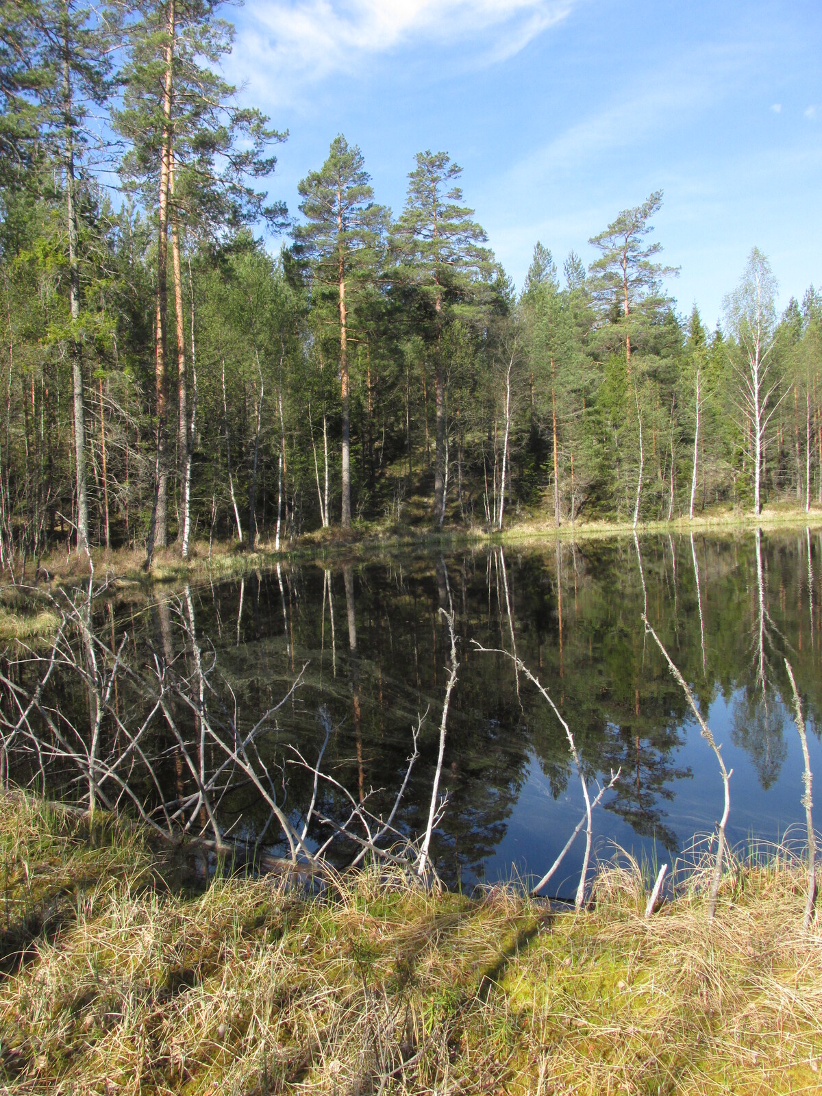 Foudinlammi
