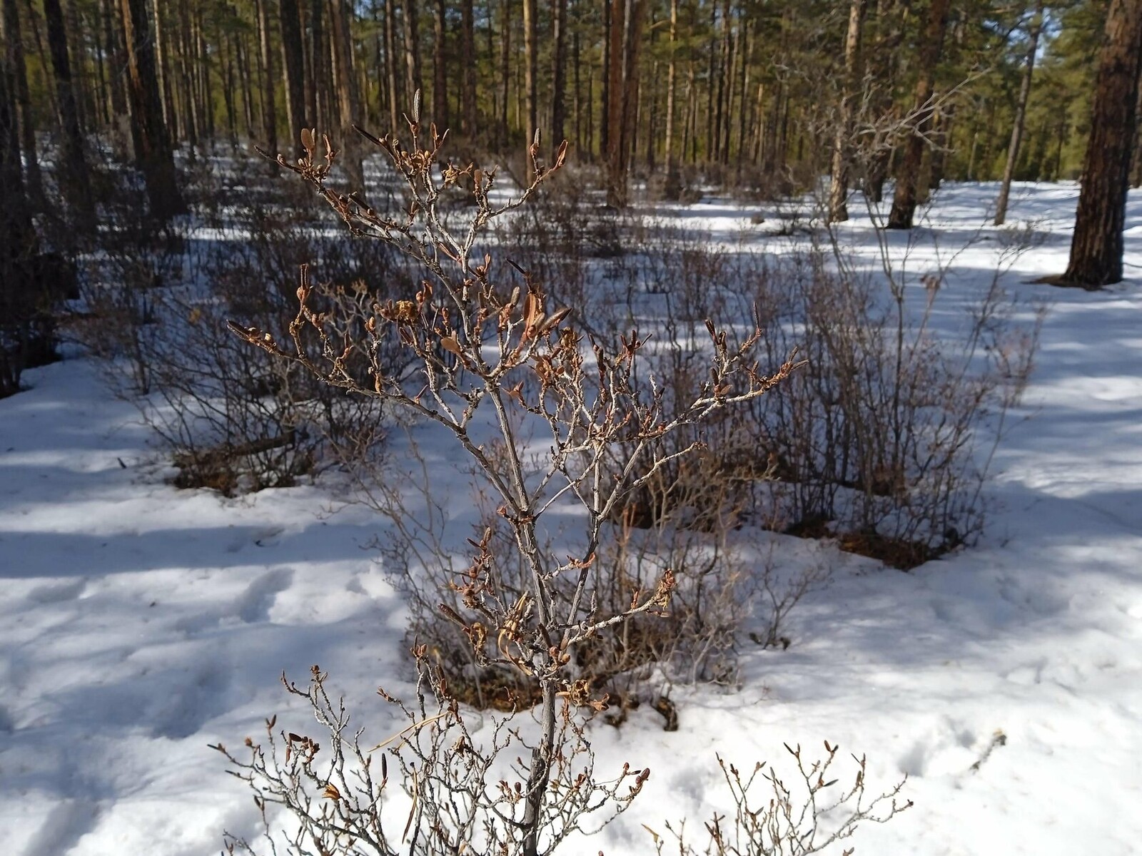 ���������. ����� ��� ��� ����� ������� �������� �������.