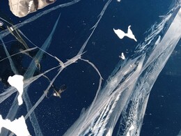 ��������� ̣�