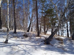 ��� �������� ������� ����������� �����. ������ �������.