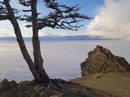 �����������