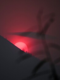  "",   - 