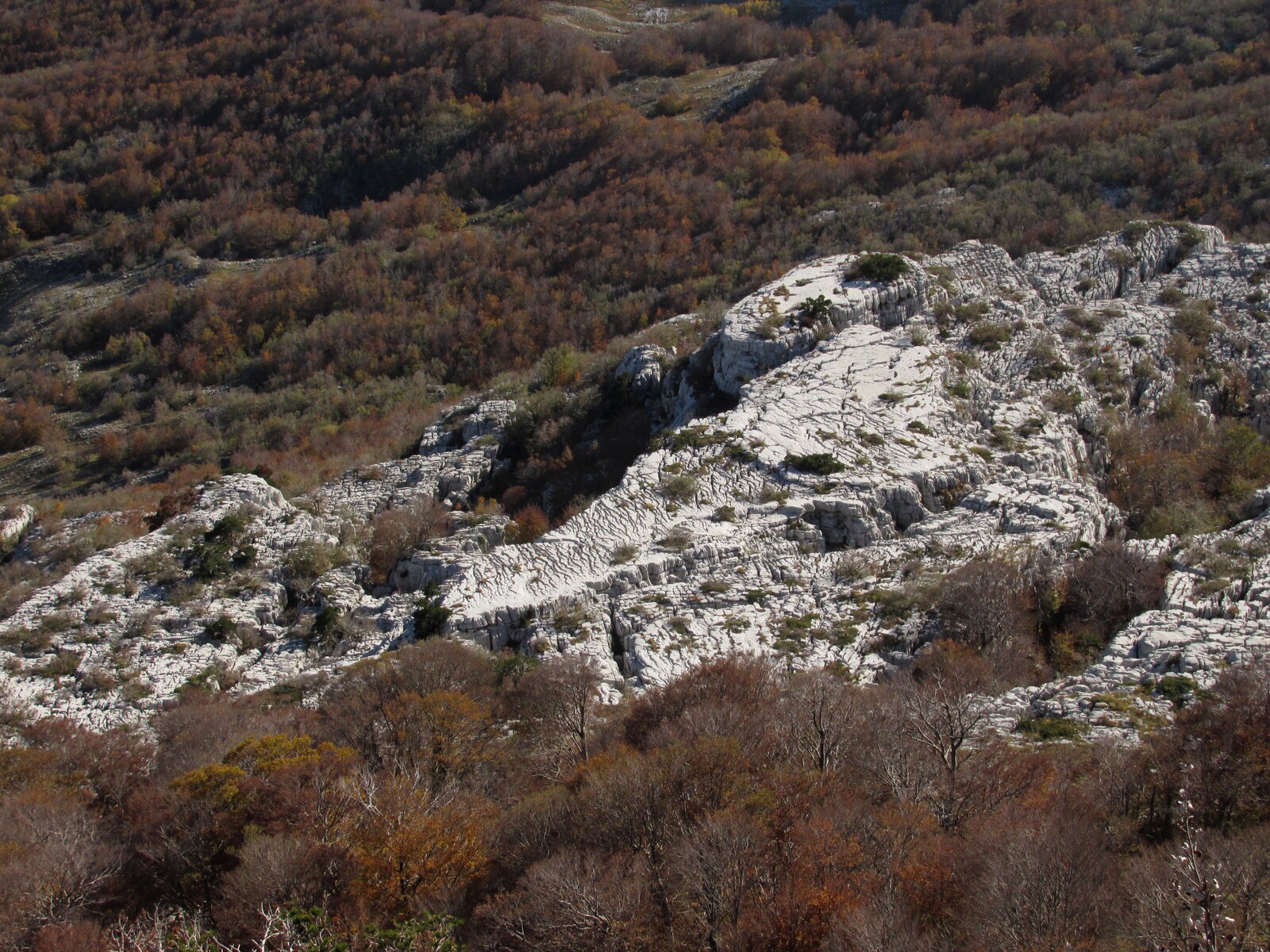    Vilino Guvno