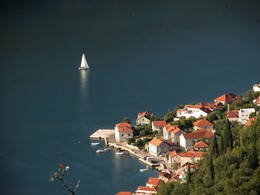 Lepetane