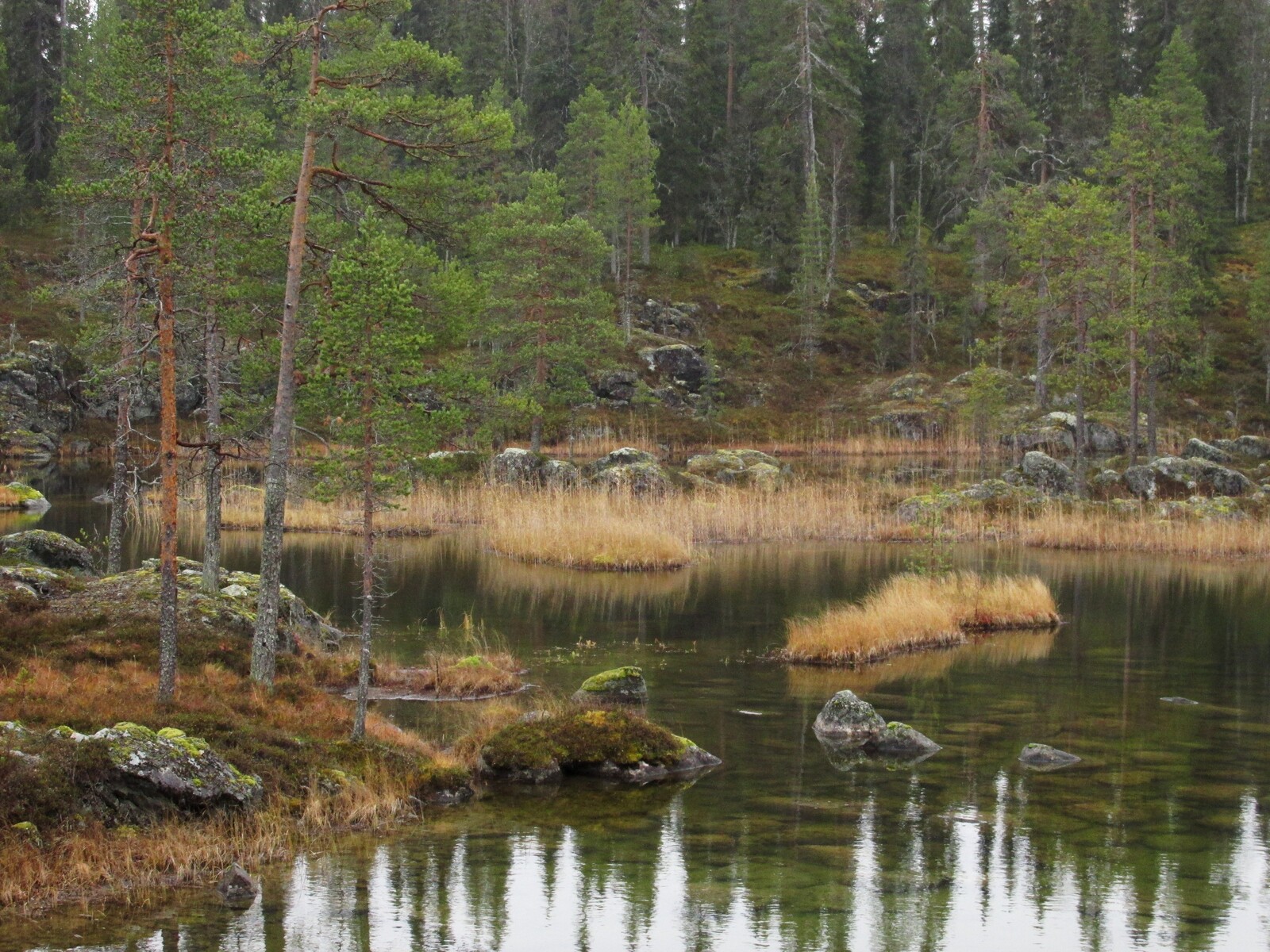 Pikku Rytilampi