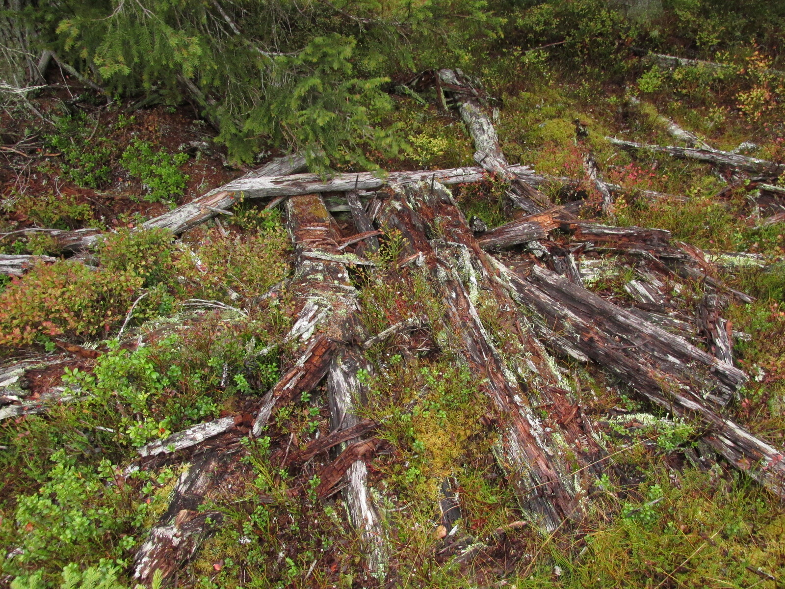 ,      .Kumpu-Vujenselkä (415 m)