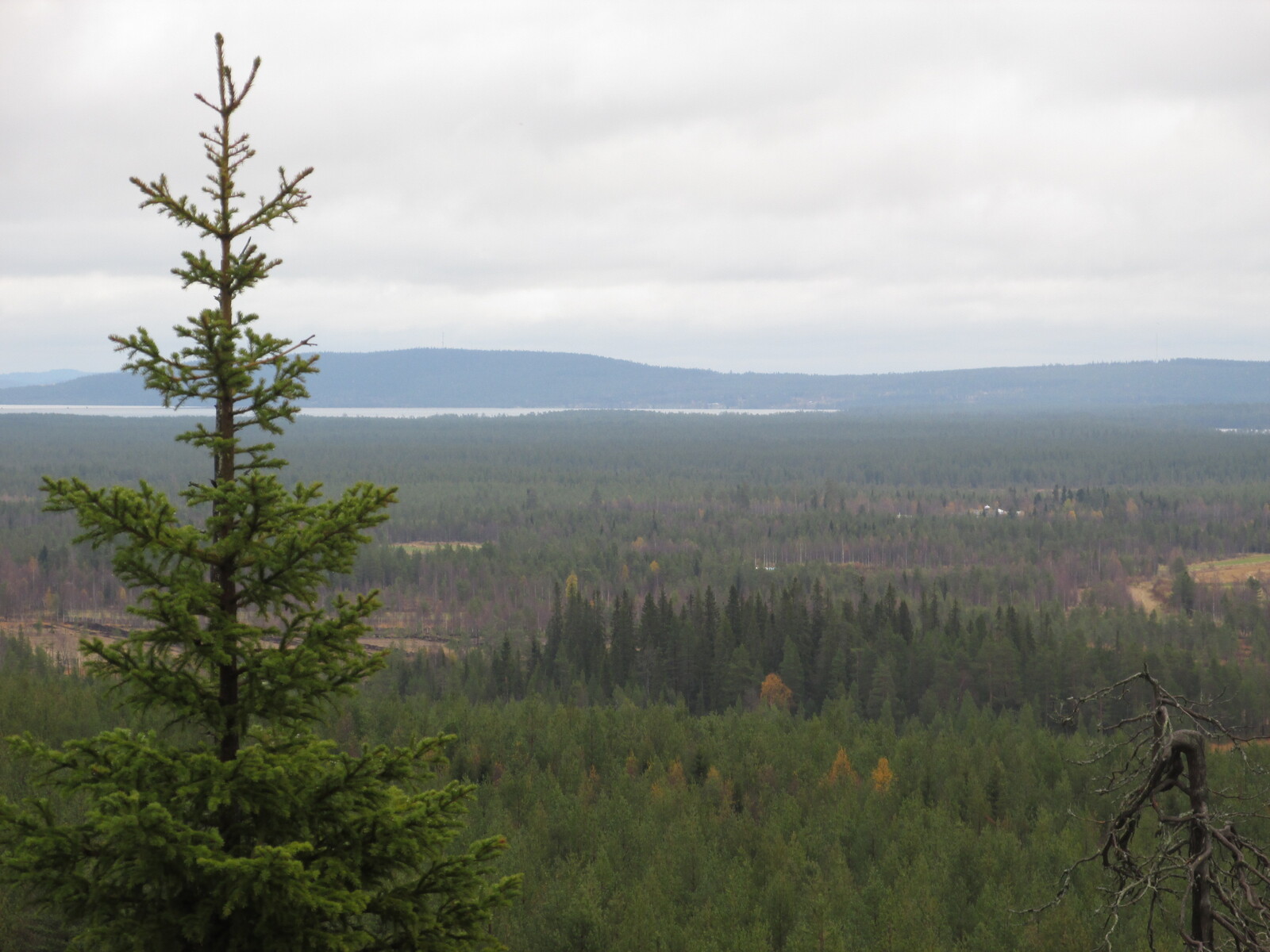    Aimovaara (380 m)