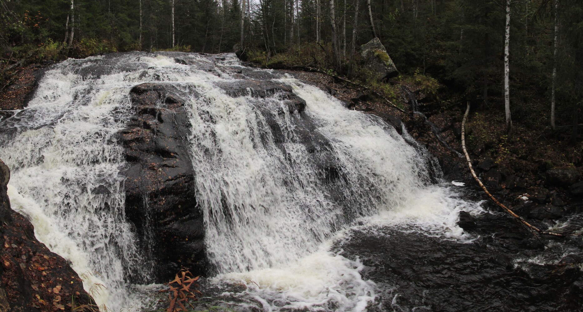   Kurttajoki
