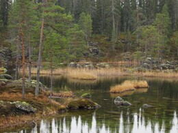 Pikku Rytilampi