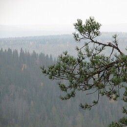 Latva-Kouvanvaara