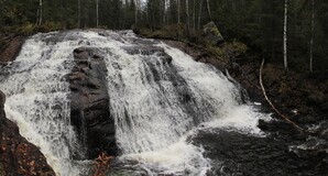   Kurttajoki