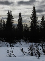  Ylijoki