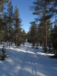    .Kuusiselkä