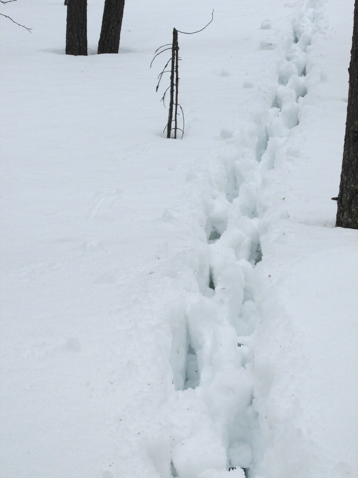 deep snow