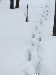 deep snow