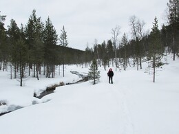 Harrioja river