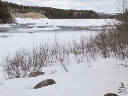 Pajakoski