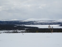  Luirojärvi