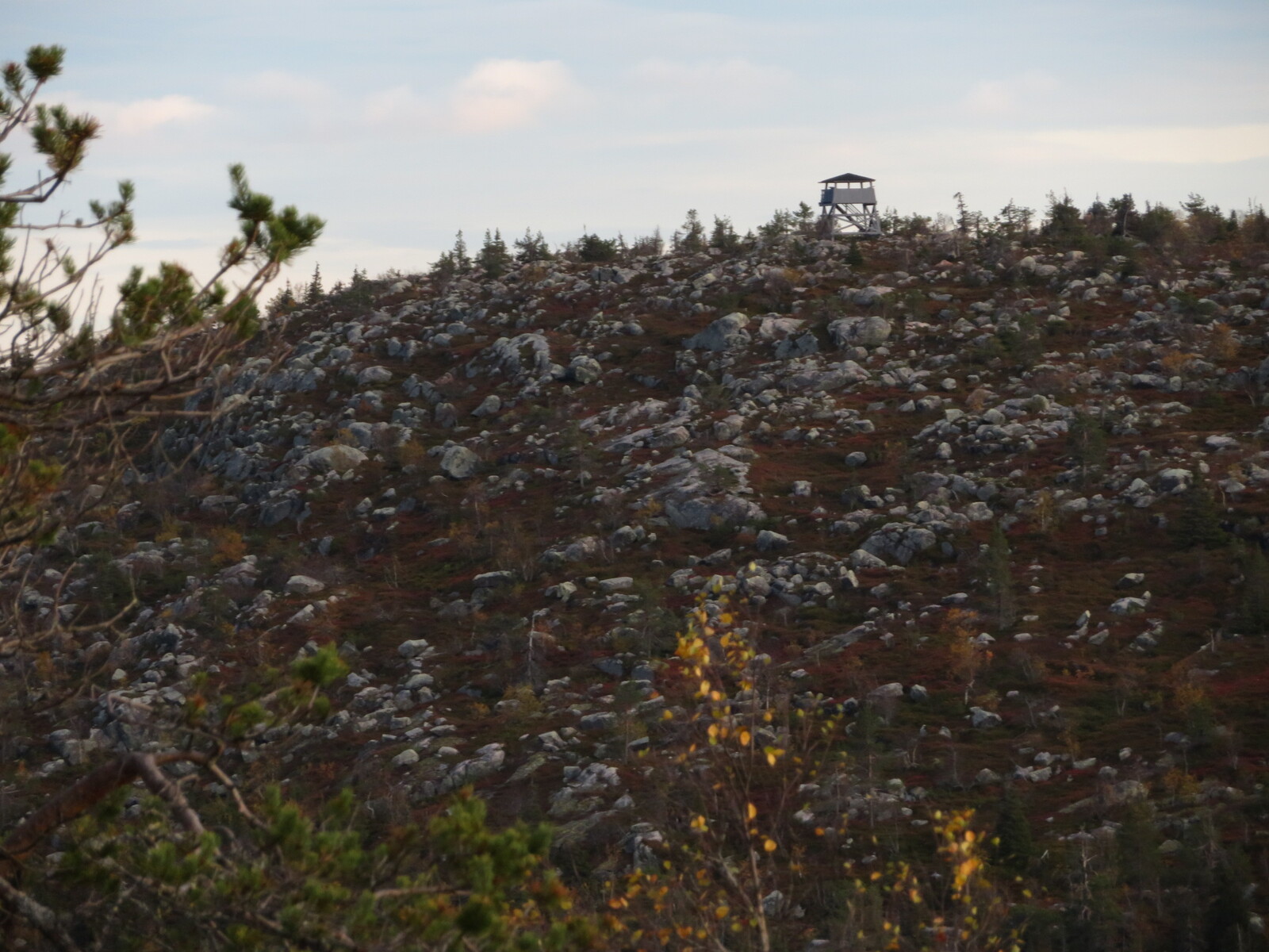     Ruuhitunturi