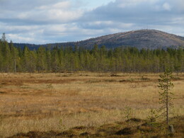    Sallatunturi   