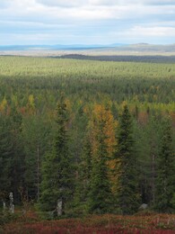    Marjavaara