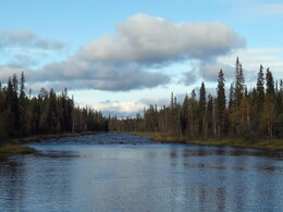  Savinajoki