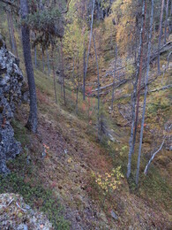    Mustosenvaara