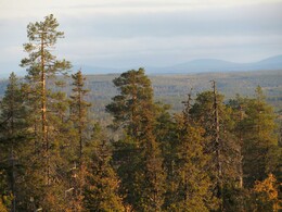    Vattuvaara