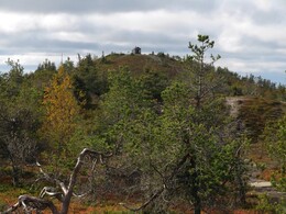     Valtavaara