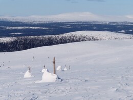   the trail is marked by posts