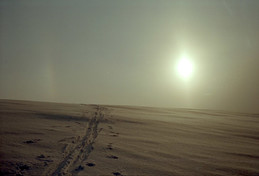 Ill follow the sun