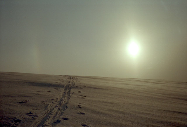 Ill follow the sun