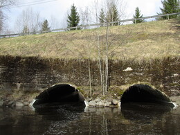        Kaukas