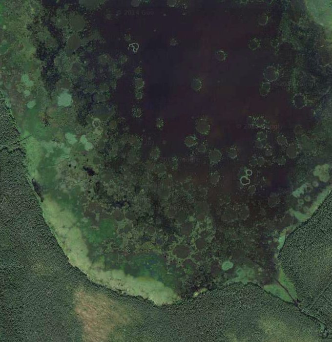  Ridasjärvi   google