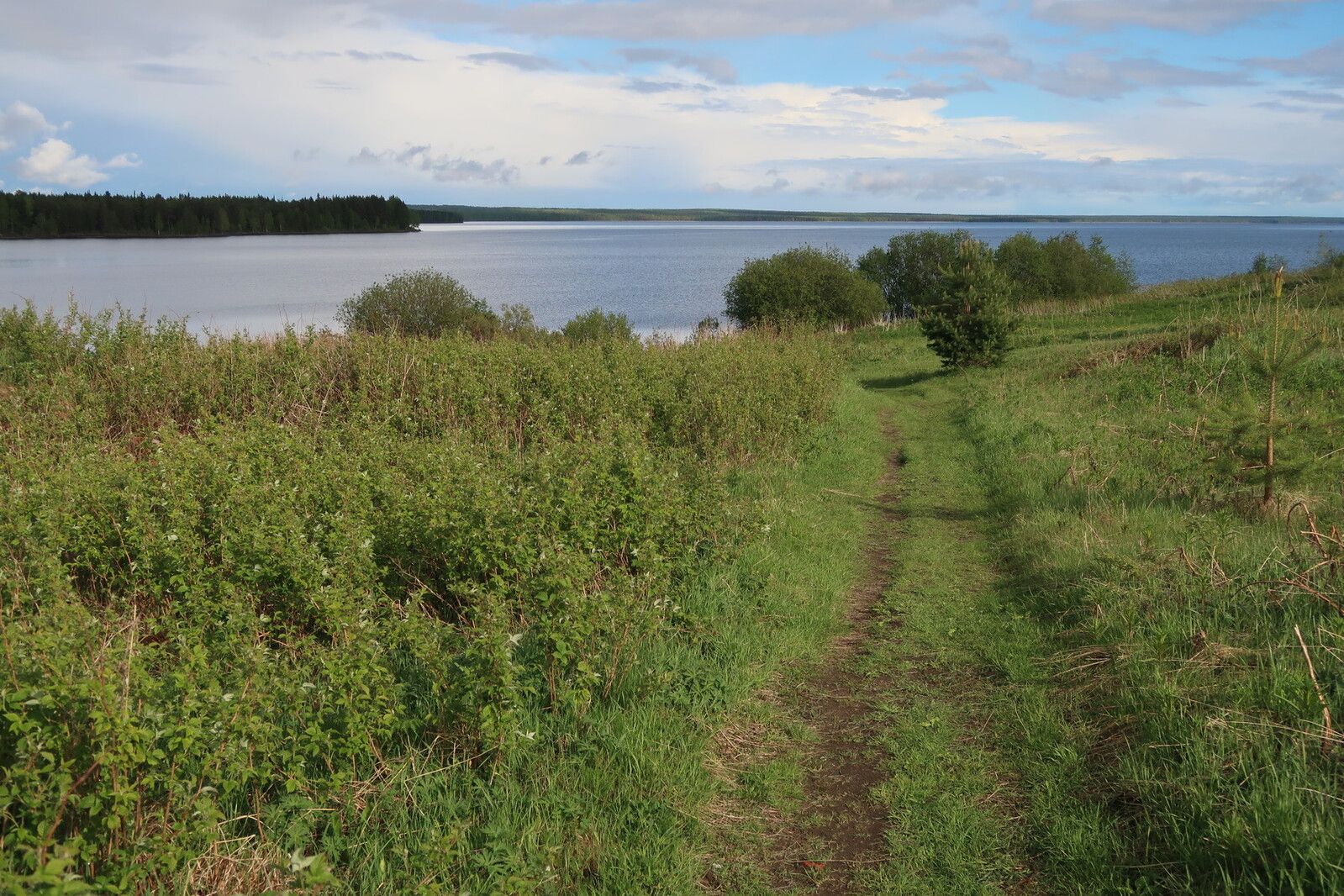 (фото К.Б.)