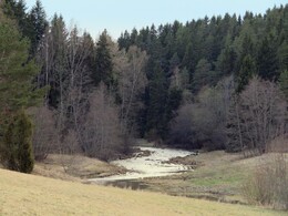 [P13] Purhamenkoski