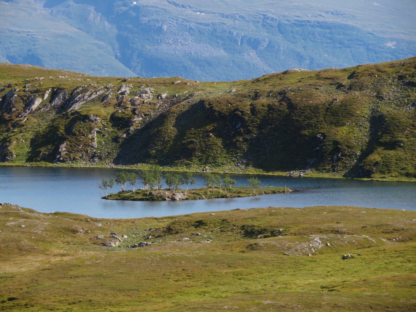    Lomvatnet