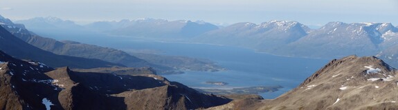  Lyngen