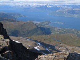  Lyngen