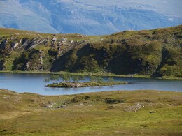   Lomvatnet