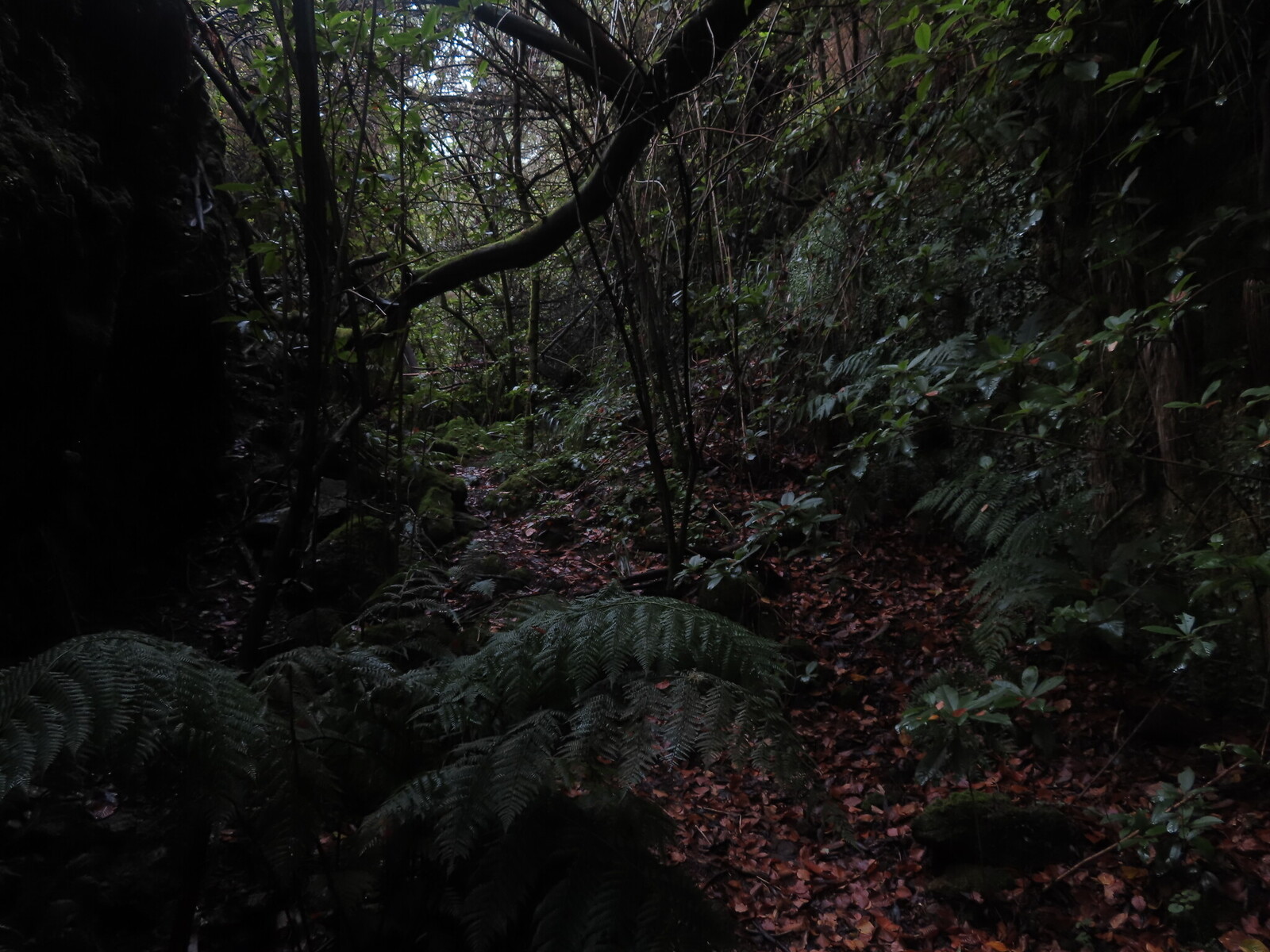    Ribeiro Frio