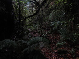    Ribeiro Frio