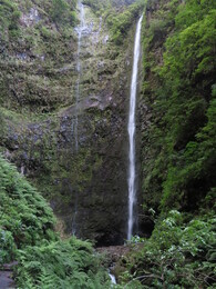 Caldeirão Verde