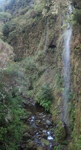    Ribeiro Grande
