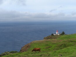   Ponto do Pargo