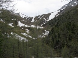   ,    2011 .