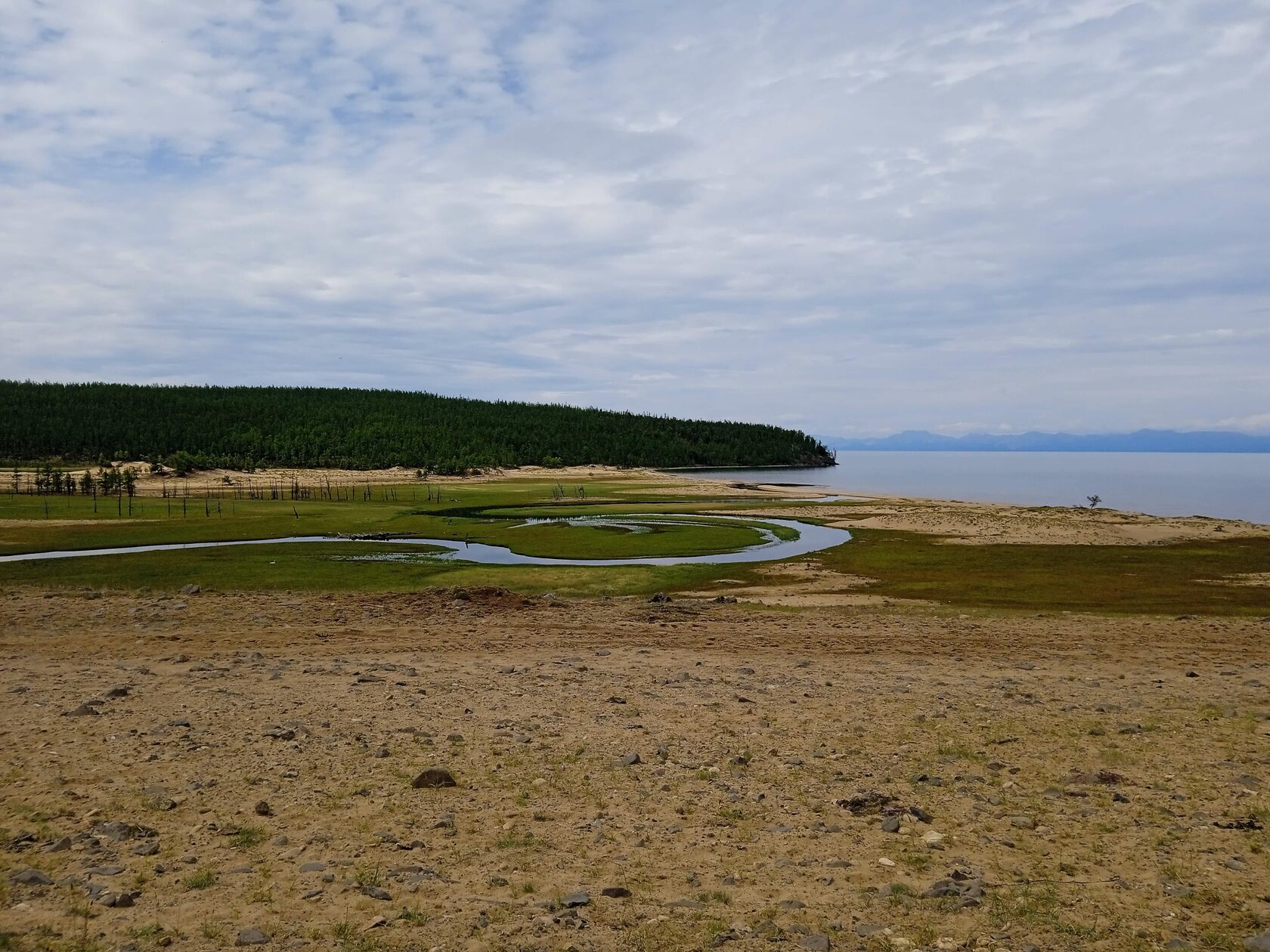 ��������