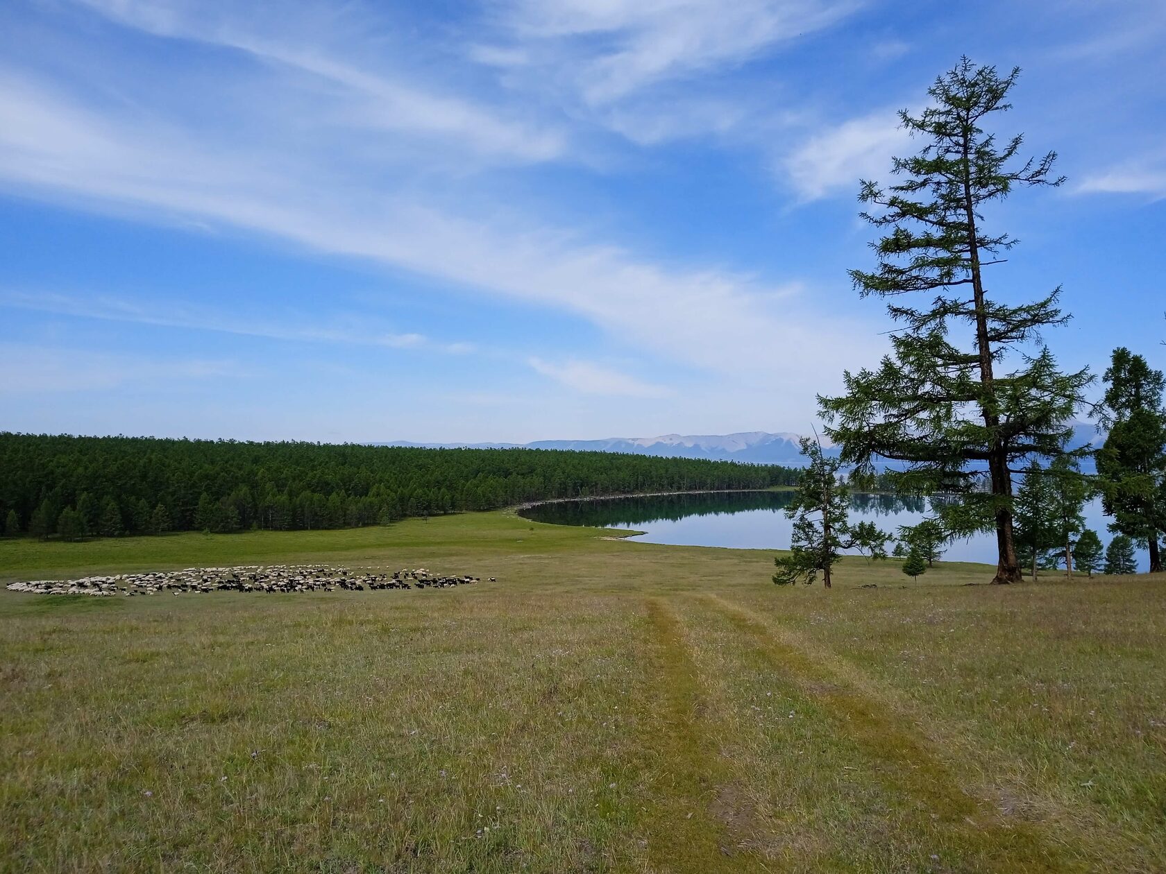 ��������