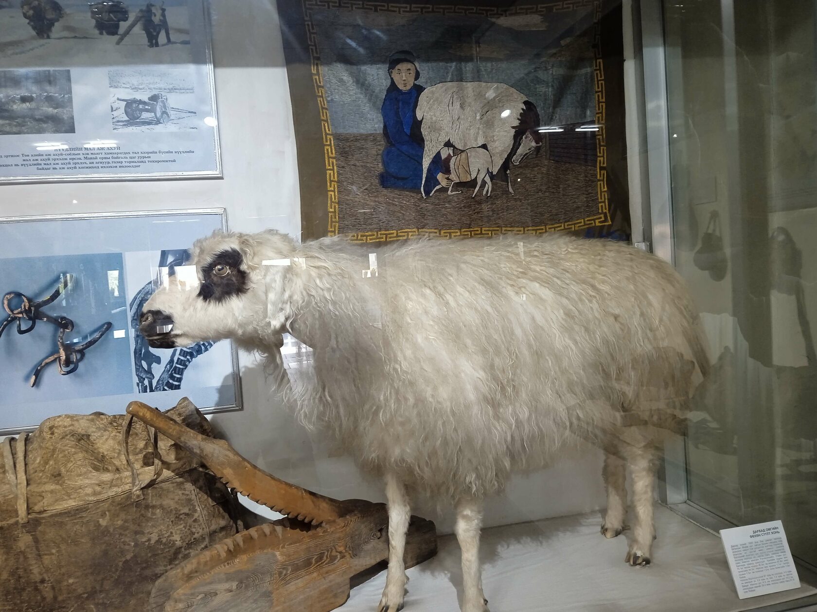 ������������� ����� �����